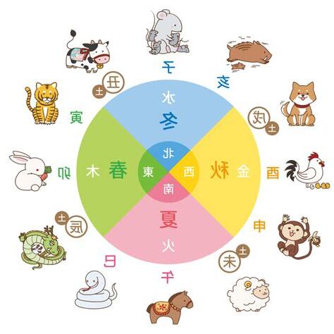 十二支 五行